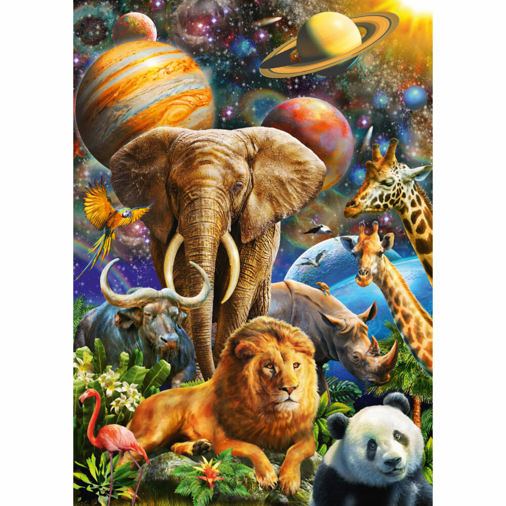 Schmidt Spiele Wundervolles Universum, Standard Puzzle, Erwachsenenpuzzle, 1000 Teile, 58988