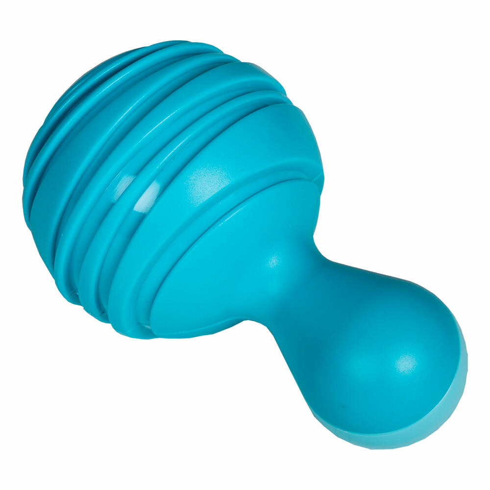 Voggenreiter Musik für Kleine Tropical Maracas, 2er Set, Rassel, Klang Instrument, Kinderrassel, Handrassel, Baby Spielzeug, Ab 6 Monate, Grün / Blau, 1116