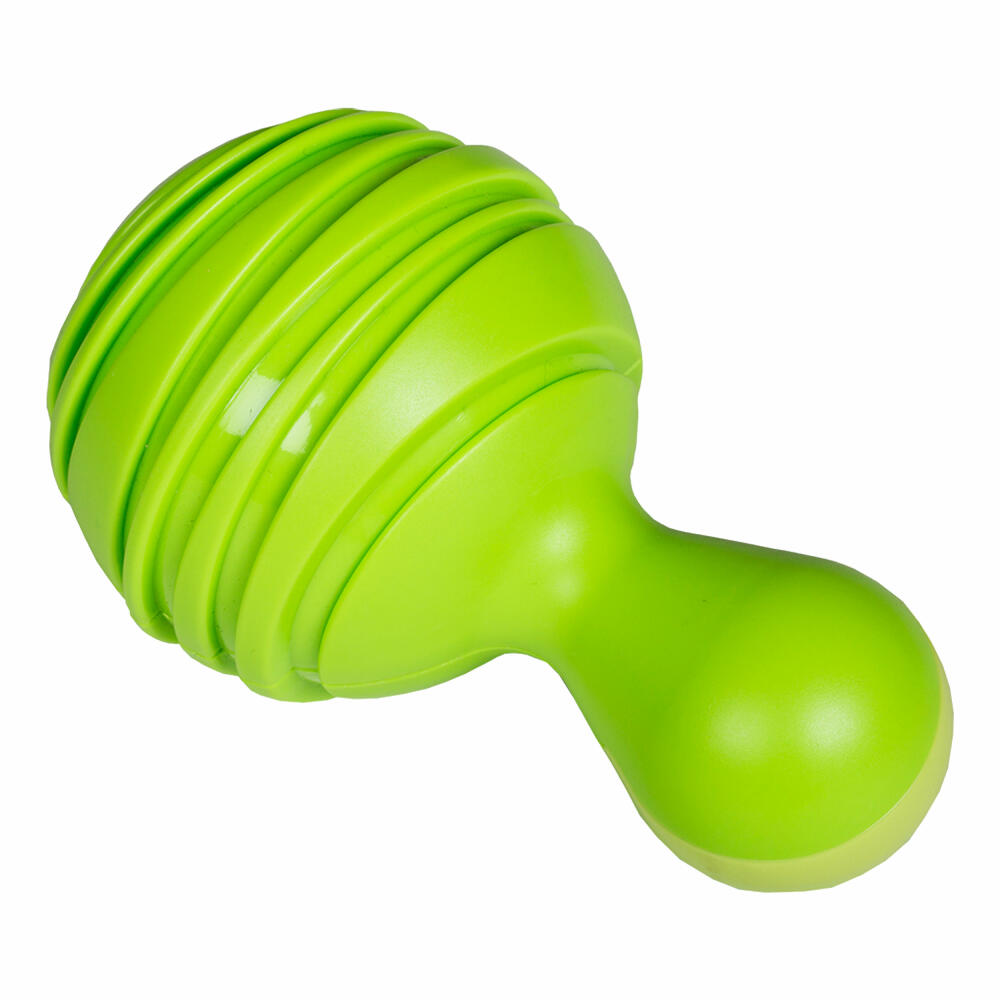 Voggenreiter Musik für Kleine Tropical Maracas, 2er Set, Rassel, Klang Instrument, Kinderrassel, Handrassel, Baby Spielzeug, Ab 6 Monate, Grün / Blau, 1116