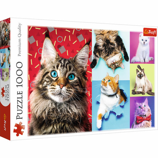 Trefl Puzzle Glückliche Katzen, 1000 Teile, 68.3 x 48 cm, 10591