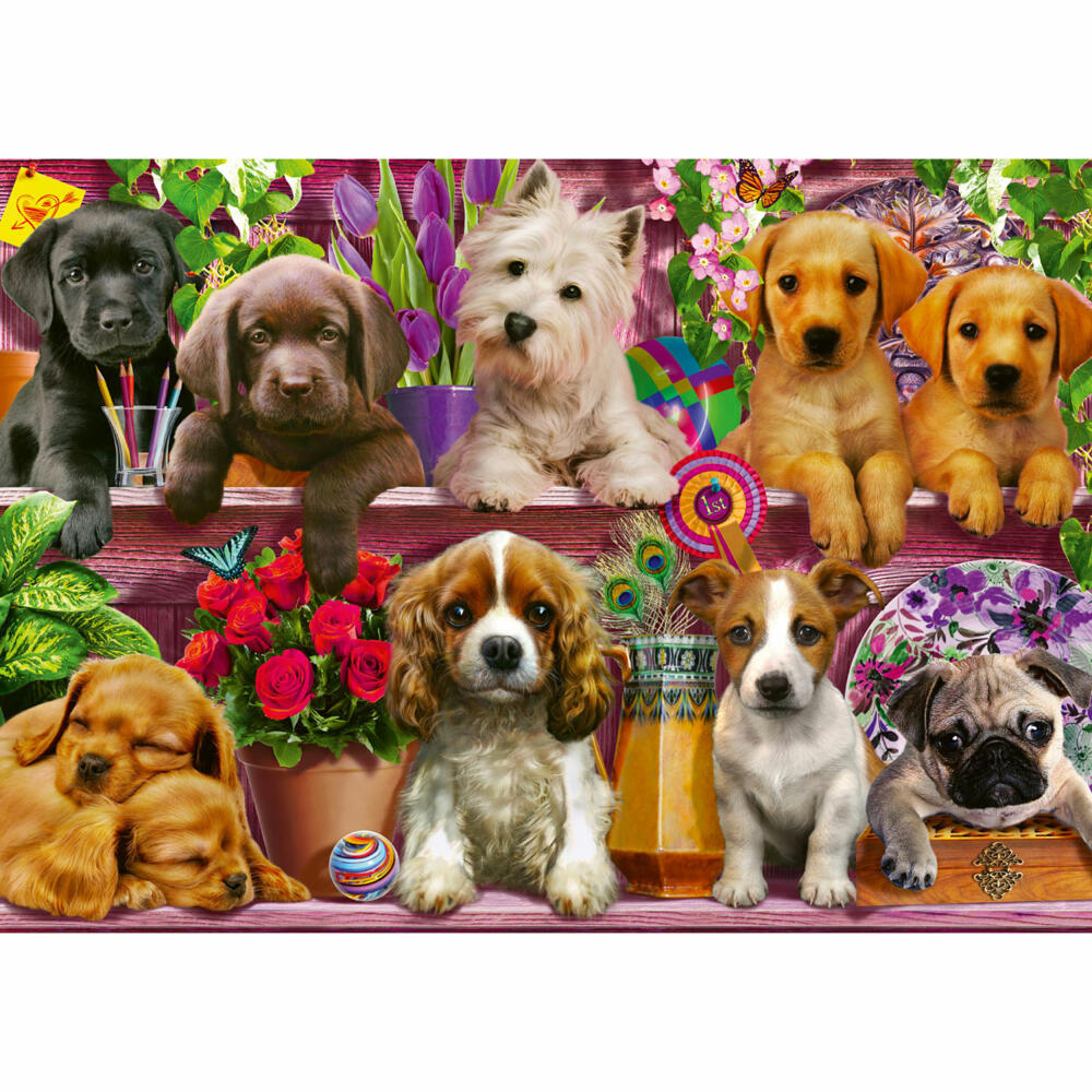 Schmidt Spiele Hunde im Regal, Standard Puzzle, Erwachsenenpuzzle, 500 Teile, 58973