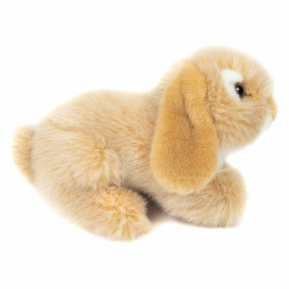 Teddy Hermann Widderkaninchen, Kuscheltier, Stofftier, Plüschtier, Kaninchen, Hase, Plüsch, Beige, 18 cm, 937272