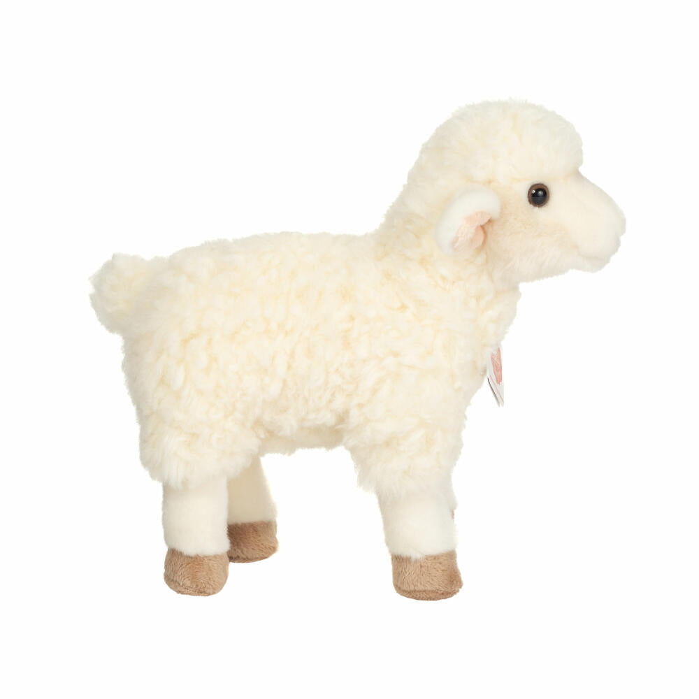 Teddy Hermann Lamm stehend, Kuscheltier, Stofftier, Plüschtier, Haus- und Hoftier, Weiß Creme, 25 cm, 934400