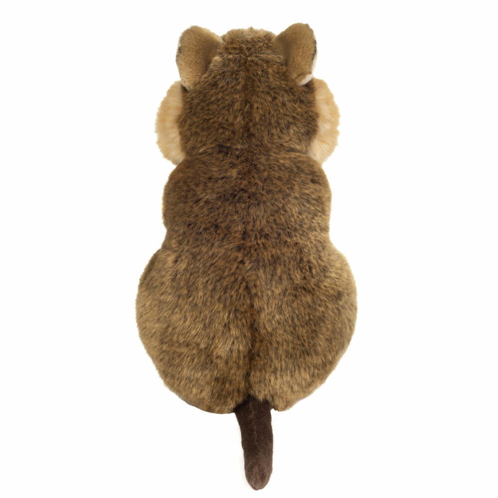 Teddy Hermann Quokka, Kuscheltier, Stofftier, Plüschtier, Exotisches Wildtier, Hellbraun, 24 cm, 923251