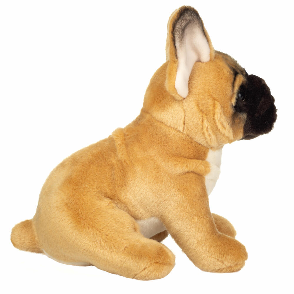 Teddy Hermann Französische Bulldogge, Kuscheltier, Stofftier, Plüschtier, Hund, Hellbraun, 27 cm, 919872