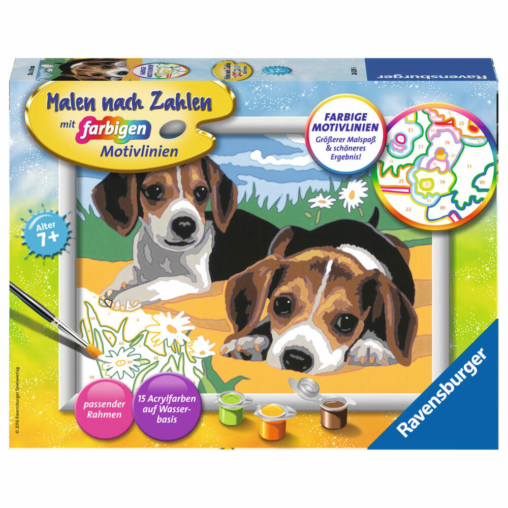 Ravensburger Malen Nach Zahlen Jack Russel Welpen, Mal Set, Malvorlage, Vorlage, Bild, Kinder, Farbige Motivlinien, 28329 3