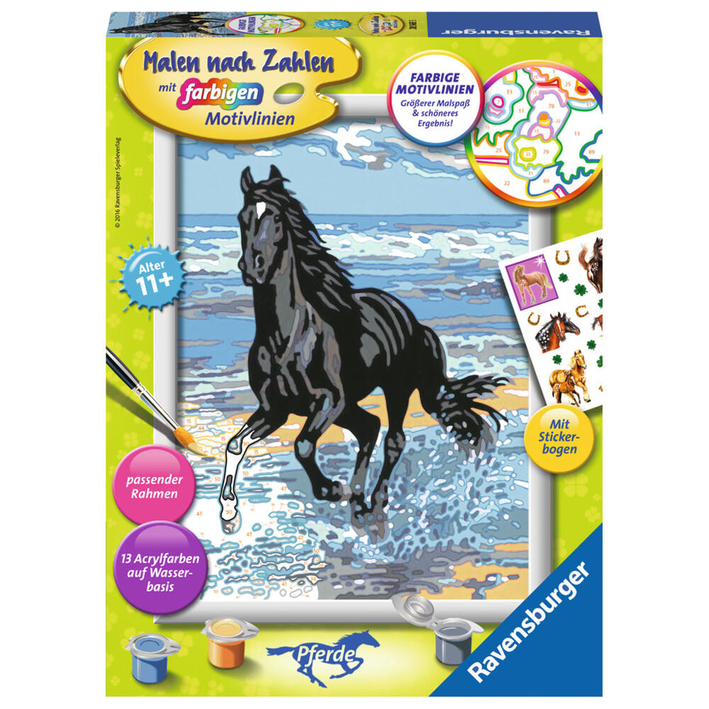 Ravensburger Malen Nach Zahlen Pferd am Strand, Mal Set, Malvorlage, Vorlage, Bild, Kinder, Farbige Motivlinien, 28565 5